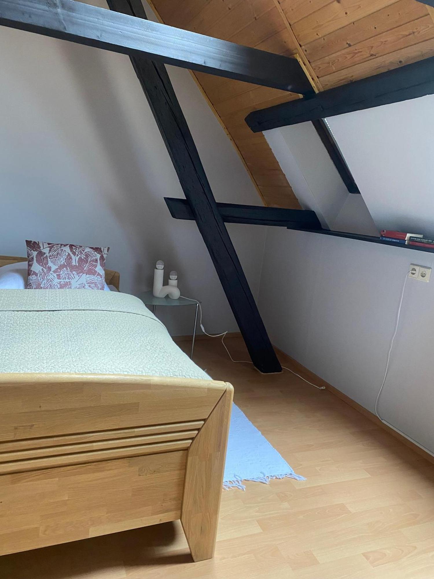 Ferienwohnung An Der Brigach Donaueschingen Eksteriør bilde