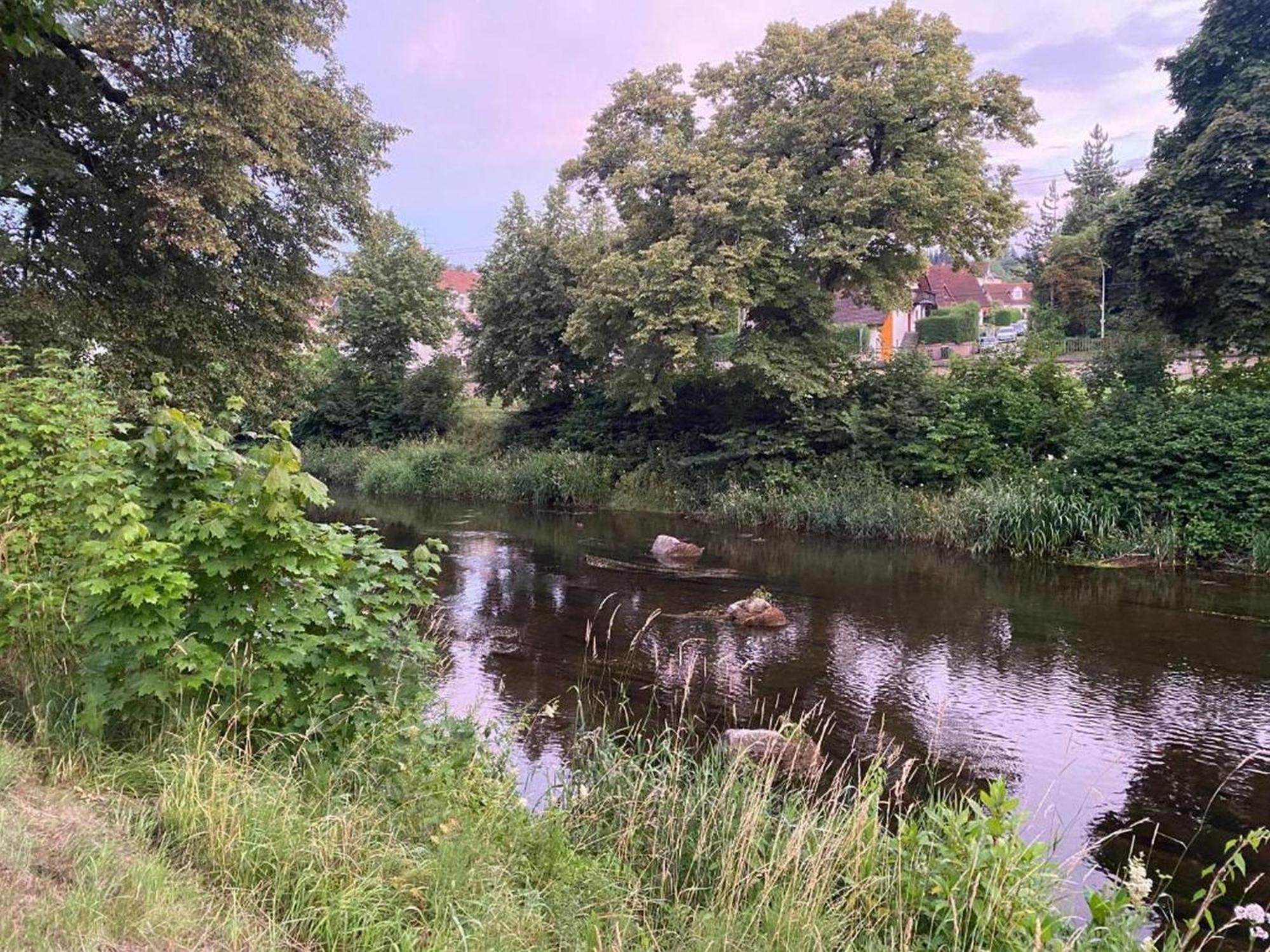 Ferienwohnung An Der Brigach Donaueschingen Eksteriør bilde