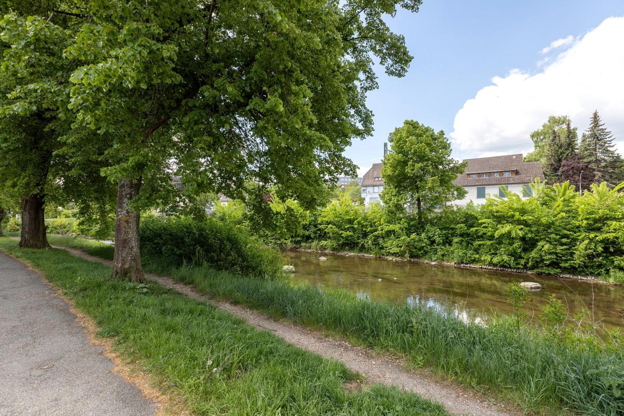 Ferienwohnung An Der Brigach Donaueschingen Eksteriør bilde