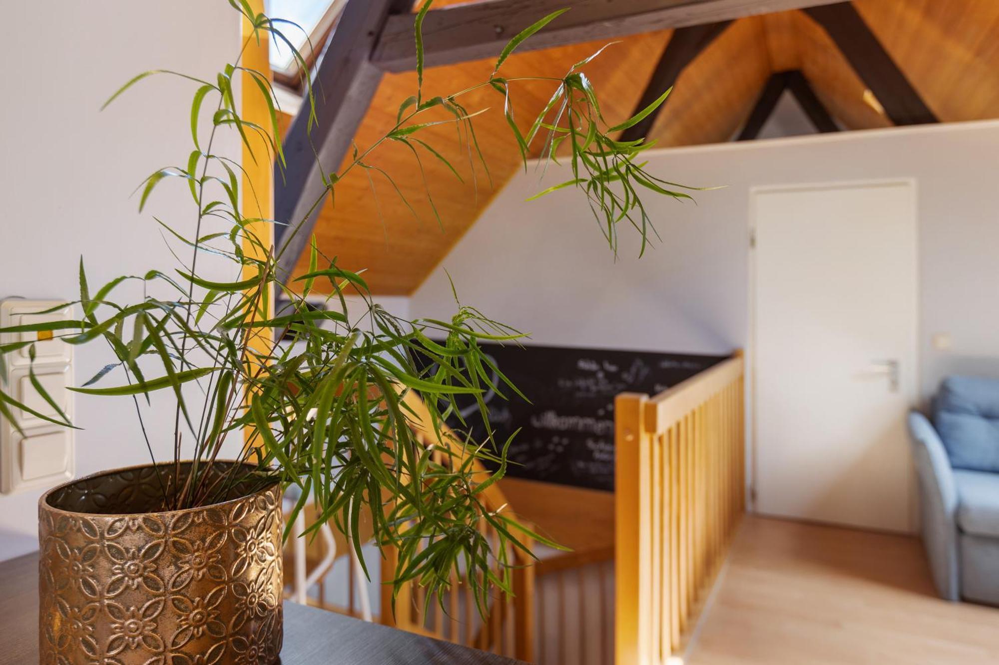 Ferienwohnung An Der Brigach Donaueschingen Eksteriør bilde